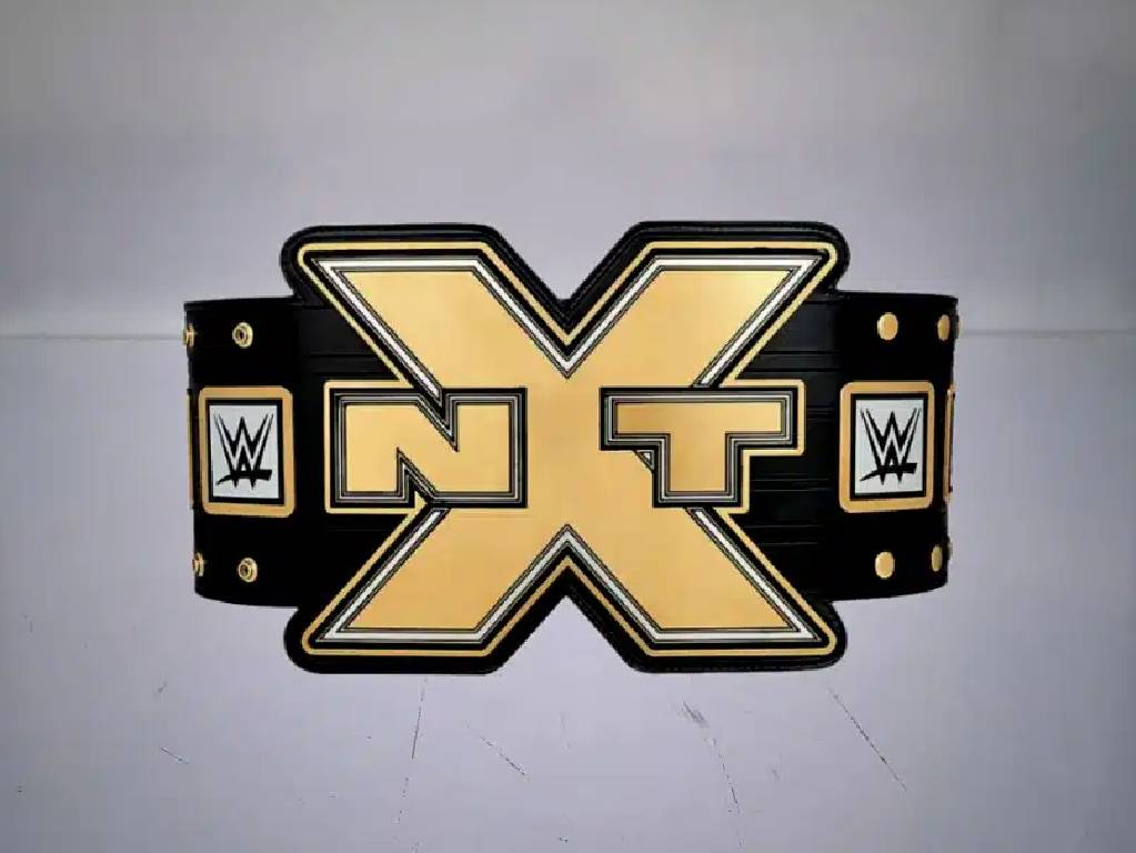 2012 NXT Championship Replica Title